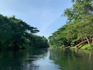 Rivière dans le parc national de Kaeng Krachan, Thaïlande