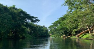 Rivière dans le parc national de Kaeng Krachan, Thaïlande