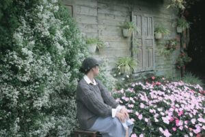 parterre de fleurs