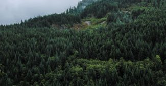 la biodiversité