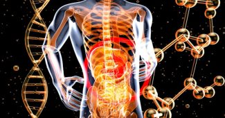 Santé intestinale
