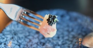 Caviar français et artisanat local le pari réussi des producteurs d’Aquitaine